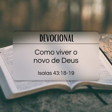 Como viver o novo de Deus | Devocional